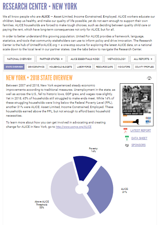 Screenshot of landing page New York ALICE Research Center